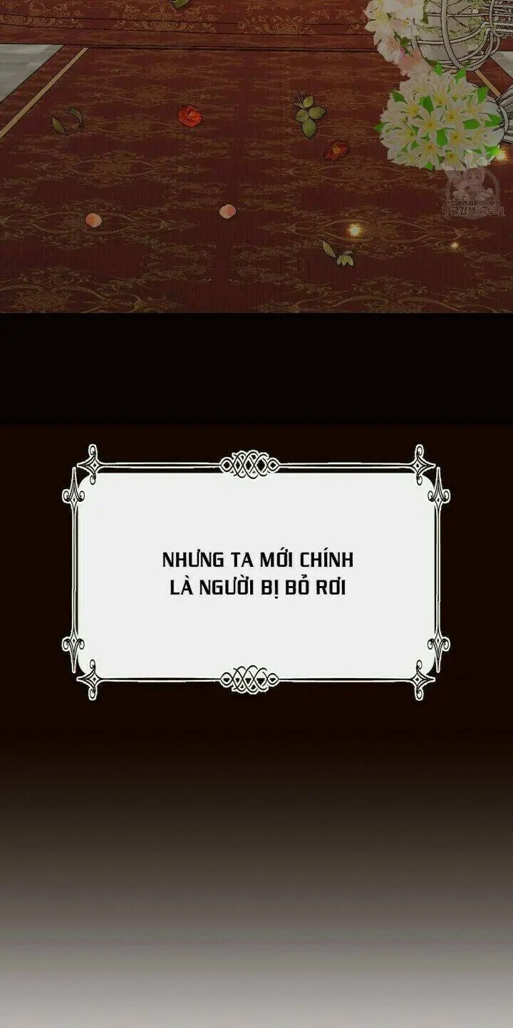 Chapter 13