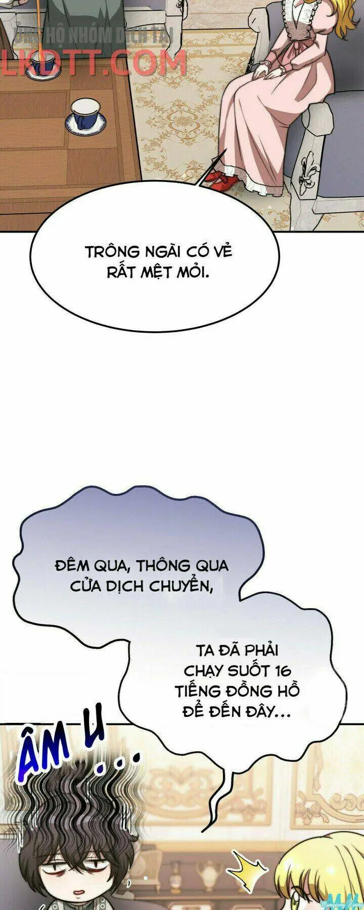 Chapter 11