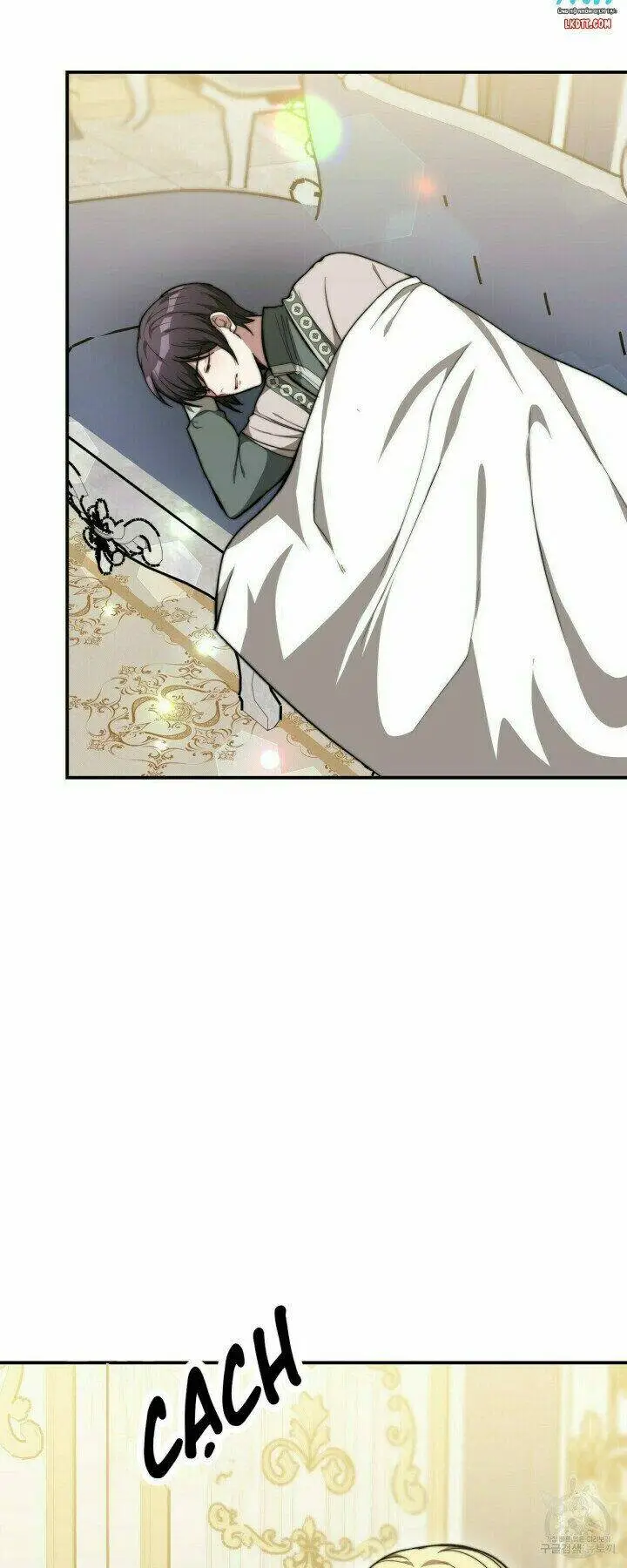 Chapter 11