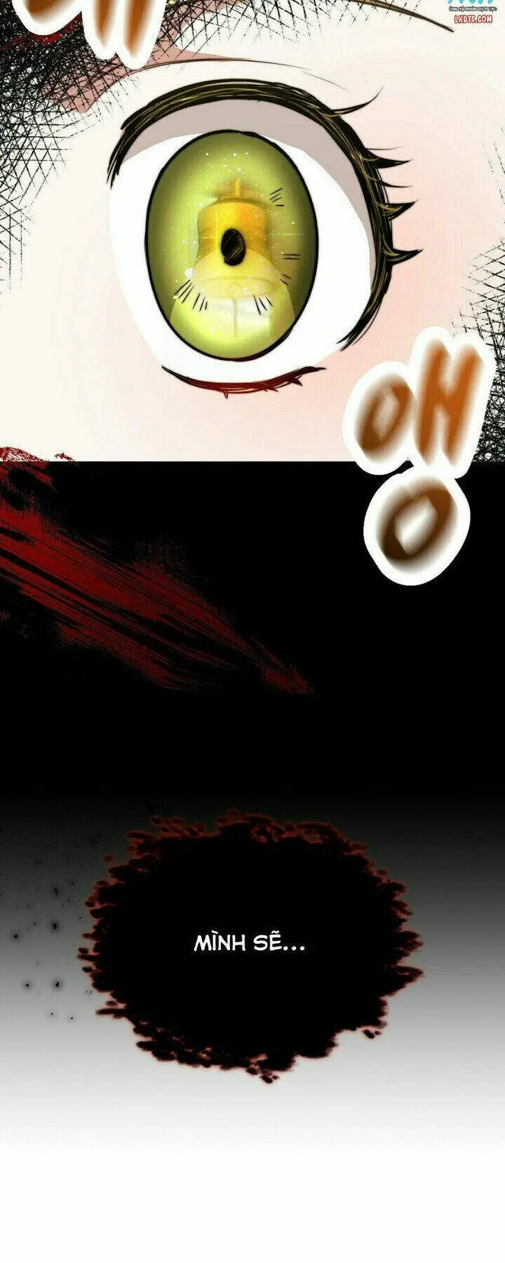 Chapter 11
