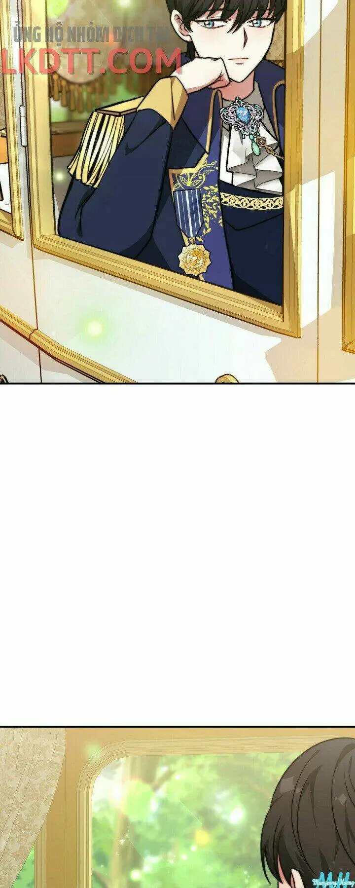 Chapter 11