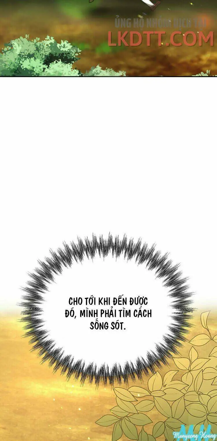 Chapter 6