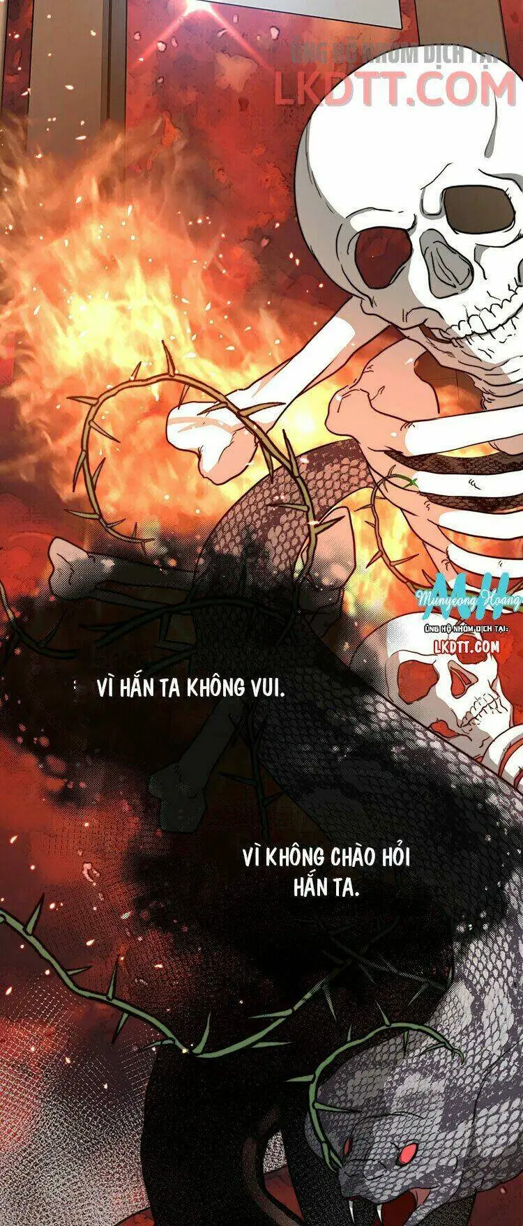Chapter 1