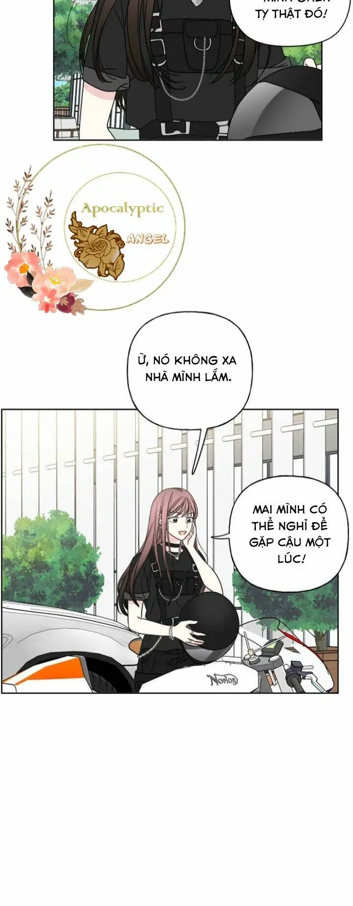 Chapter 23