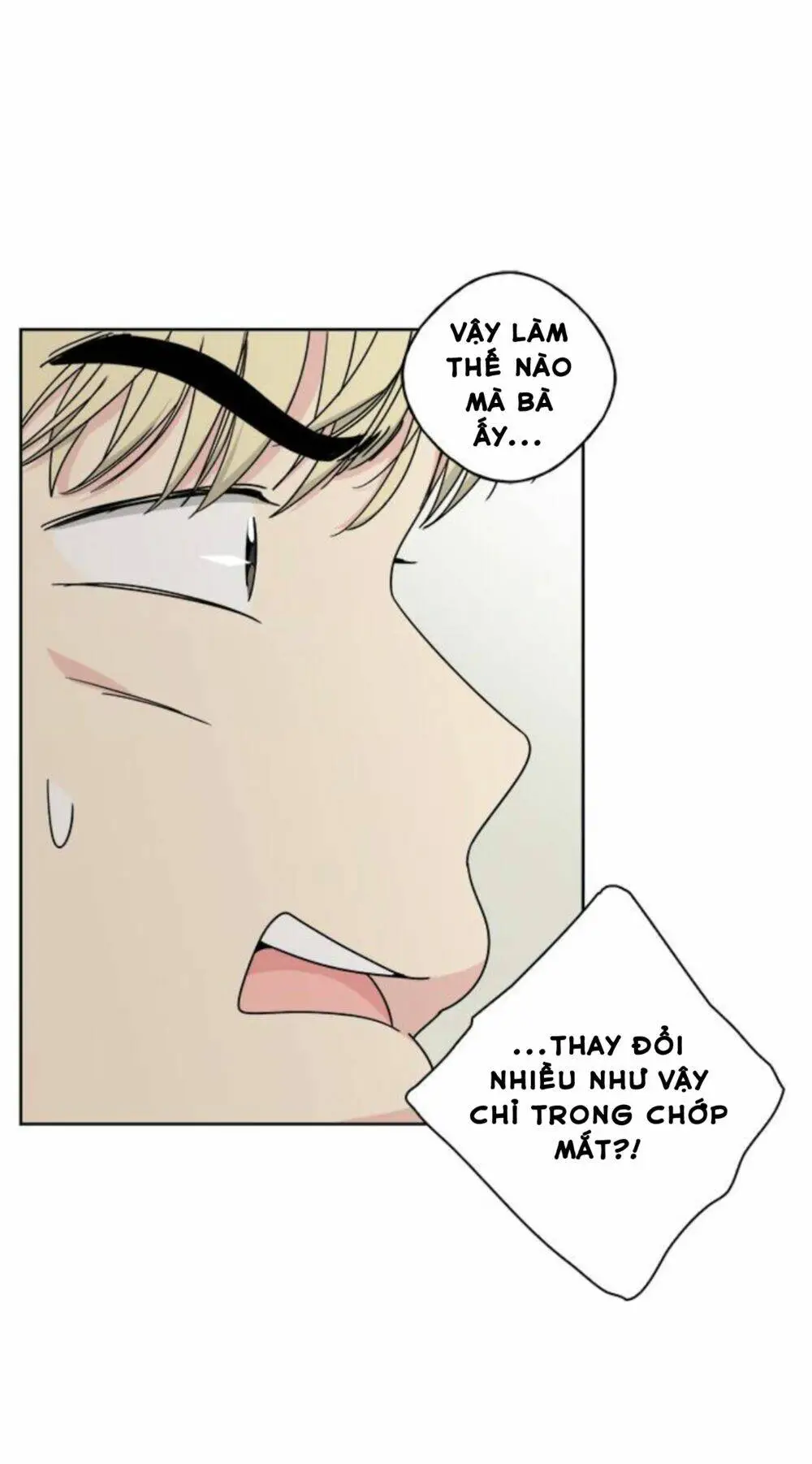 Chapter 22