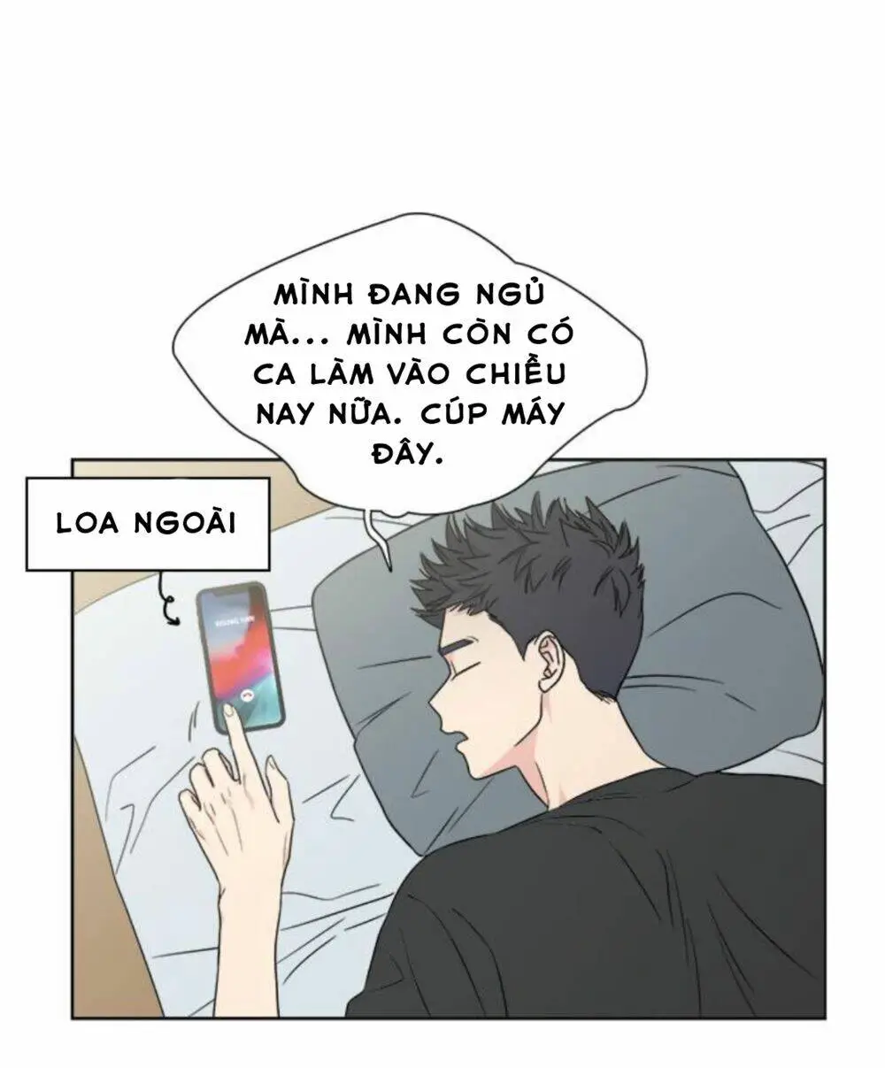Chapter 21