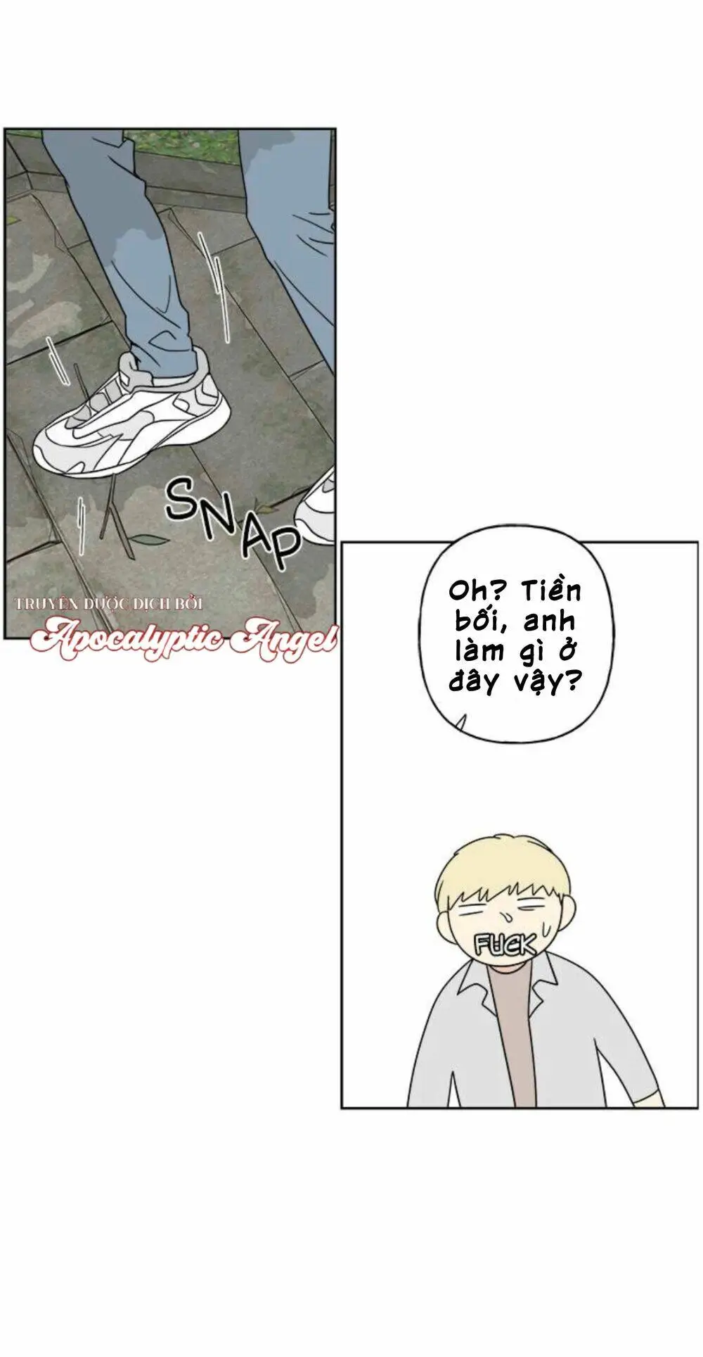 Chapter 21