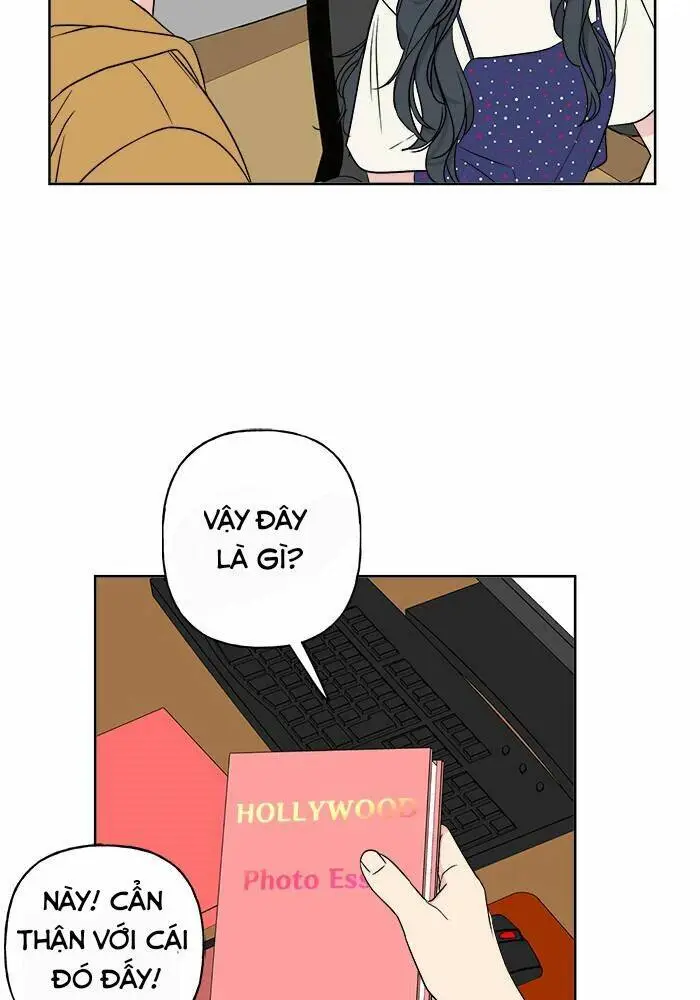 Chapter 20