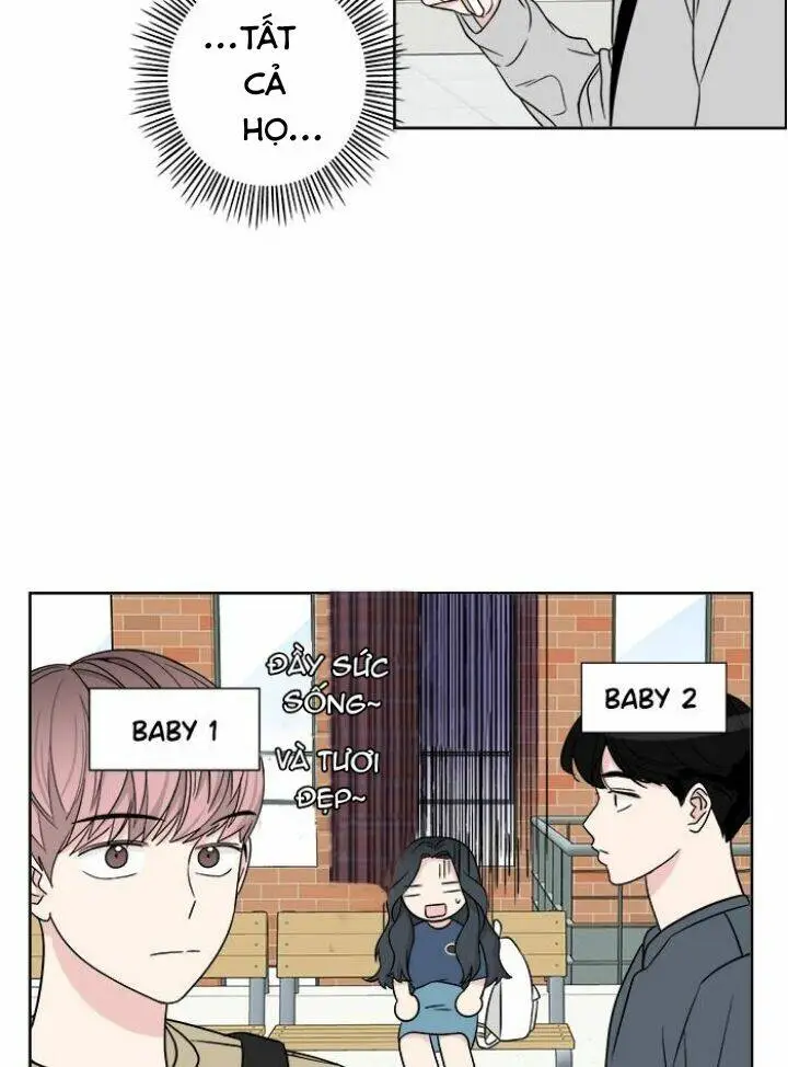 Chapter 20