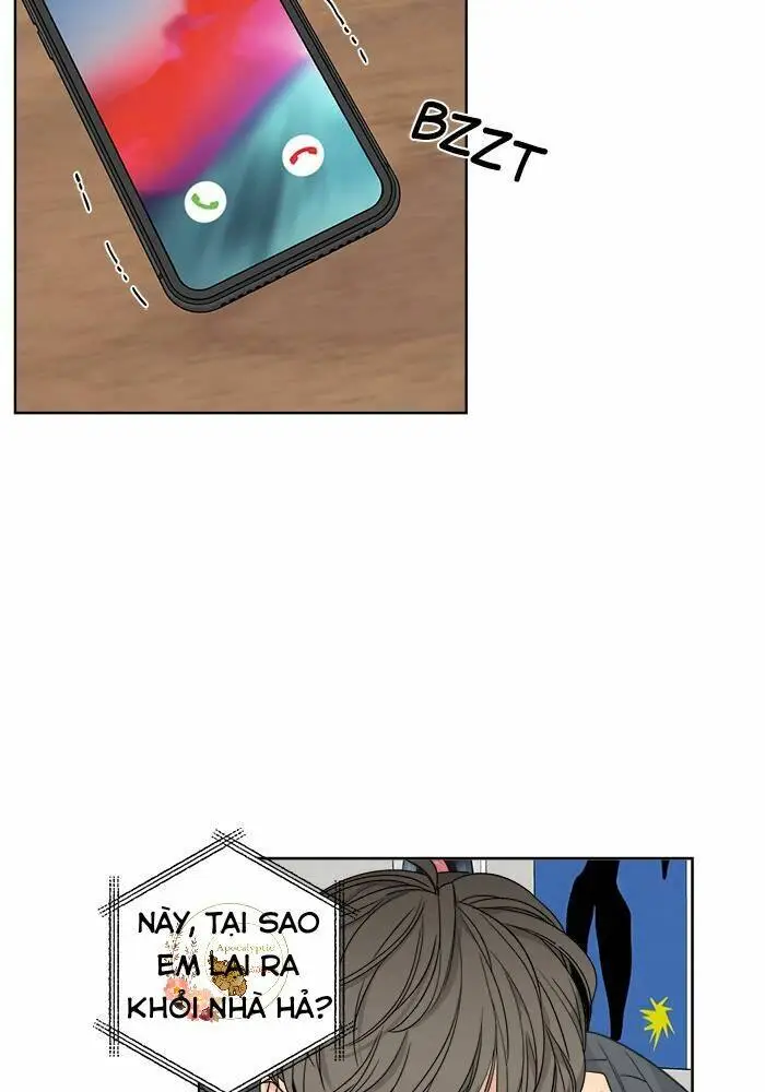 Chapter 20