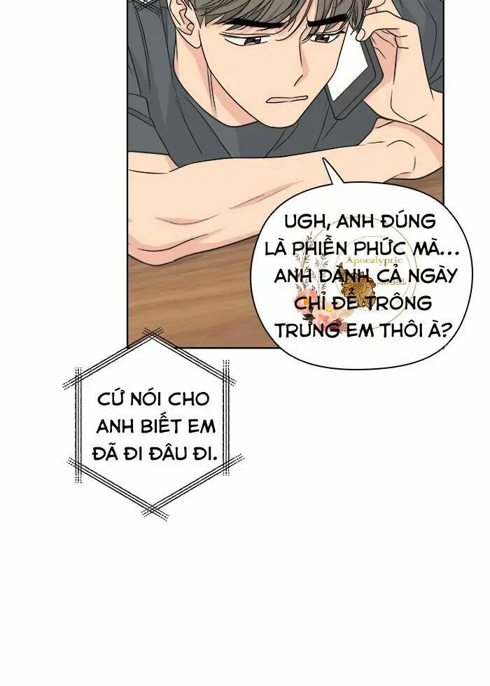 Chapter 20