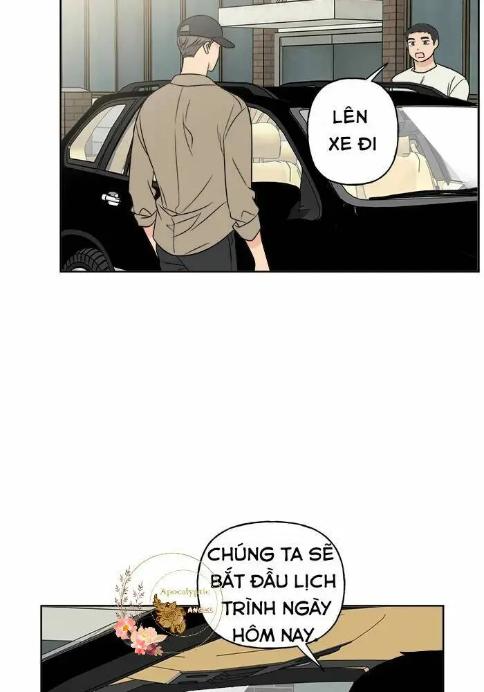 Chapter 20