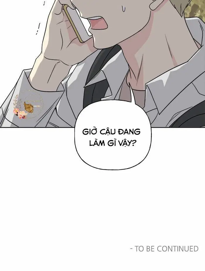 Chapter 20