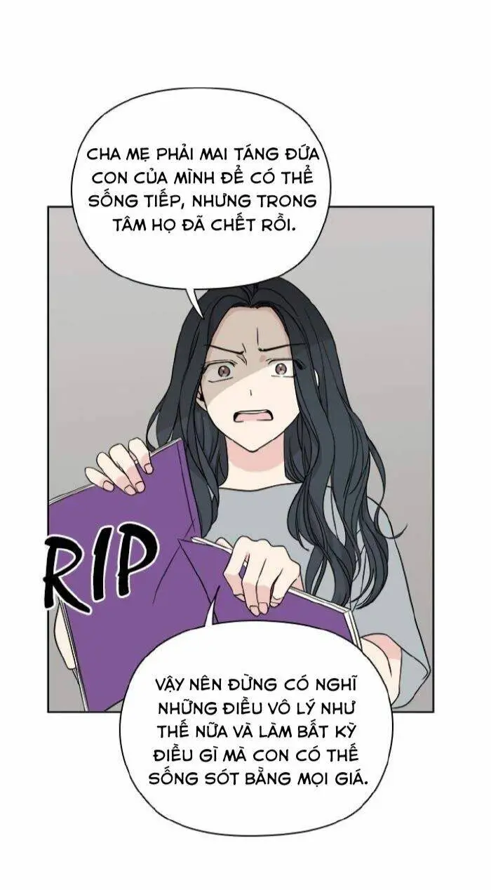 Chapter 19