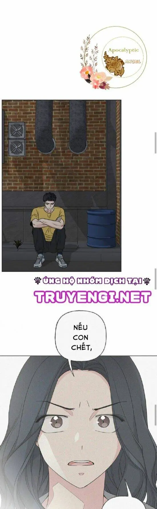 Chapter 19