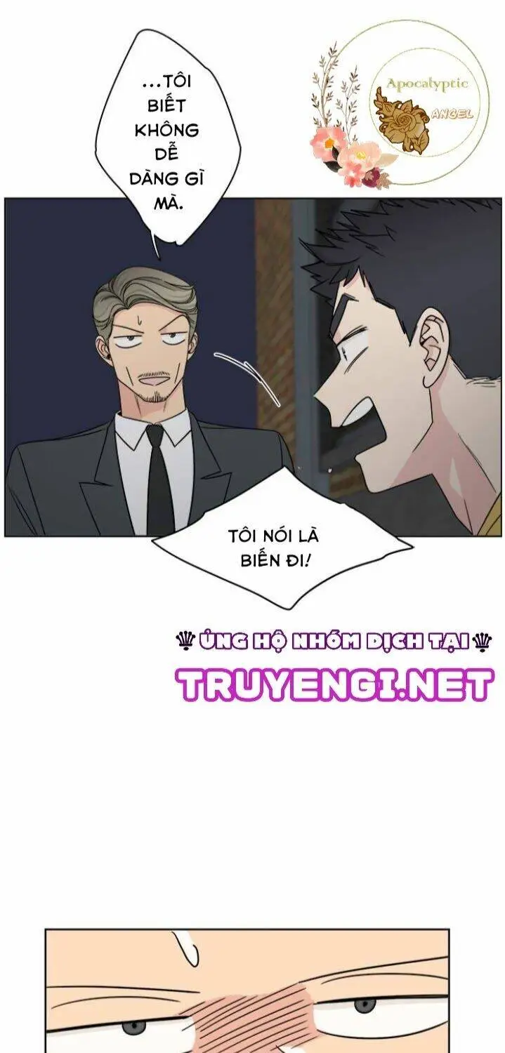 Chapter 19