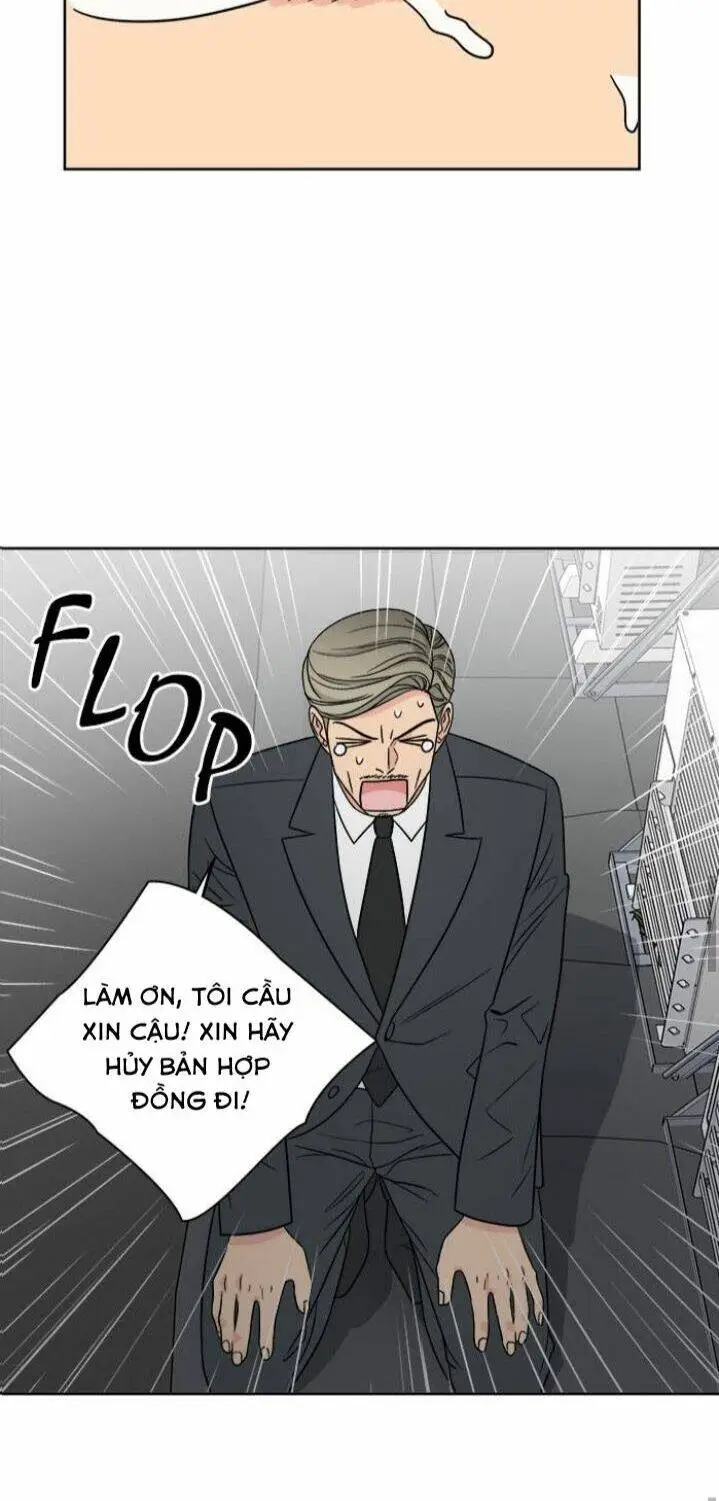 Chapter 19