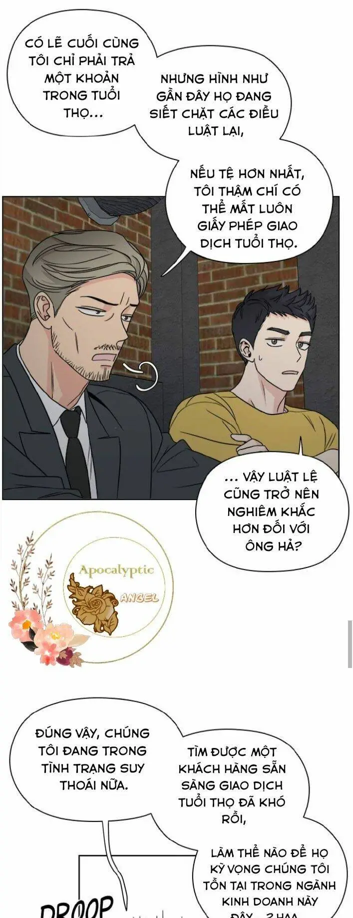 Chapter 19