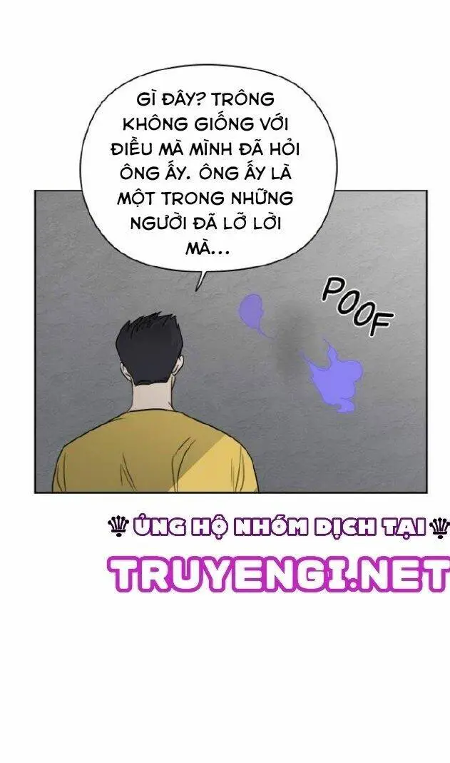 Chapter 19