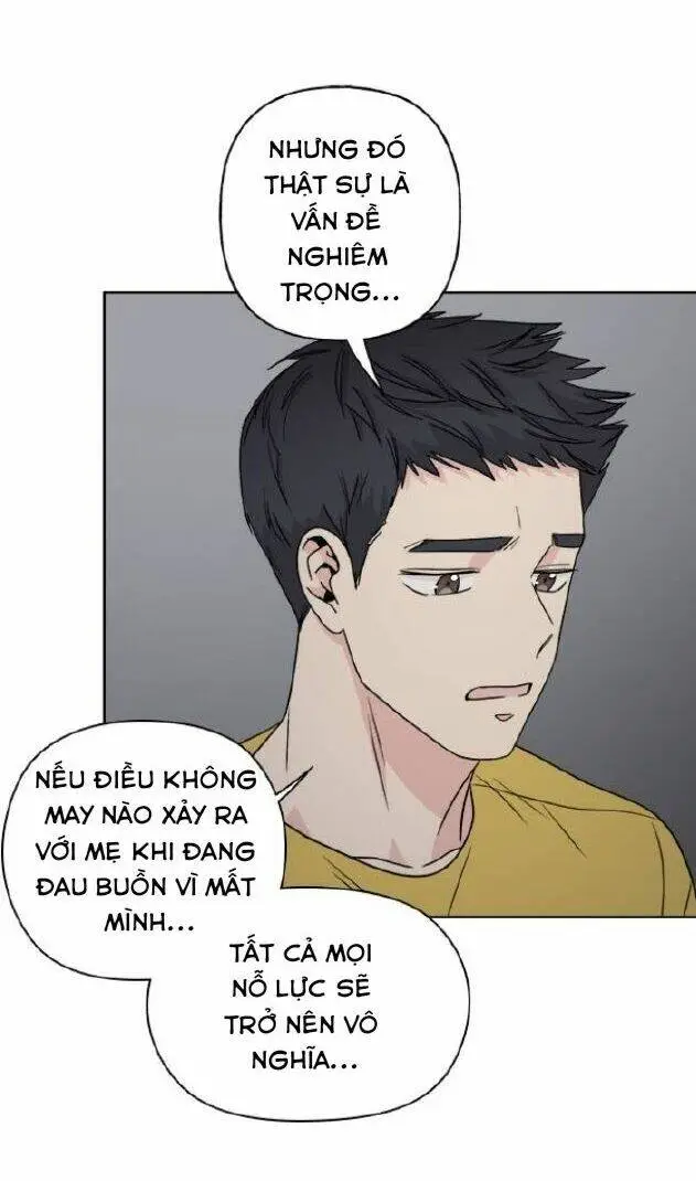 Chapter 19
