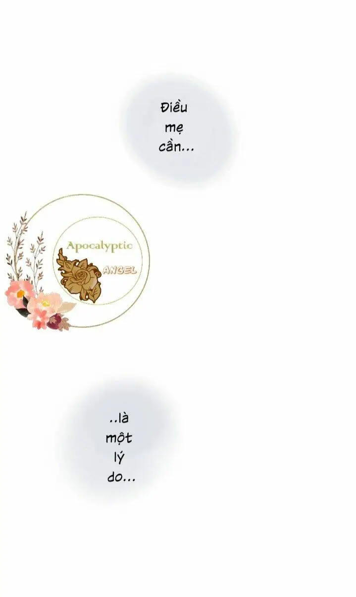 Chapter 19
