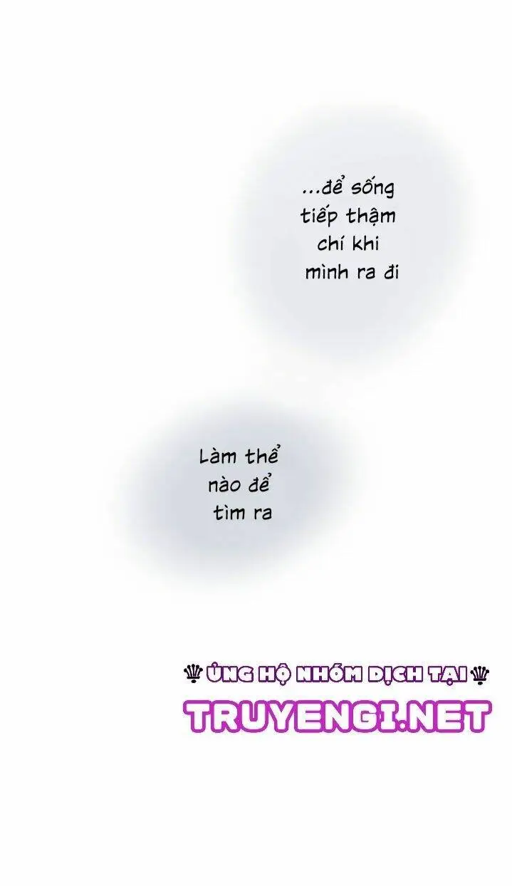 Chapter 19