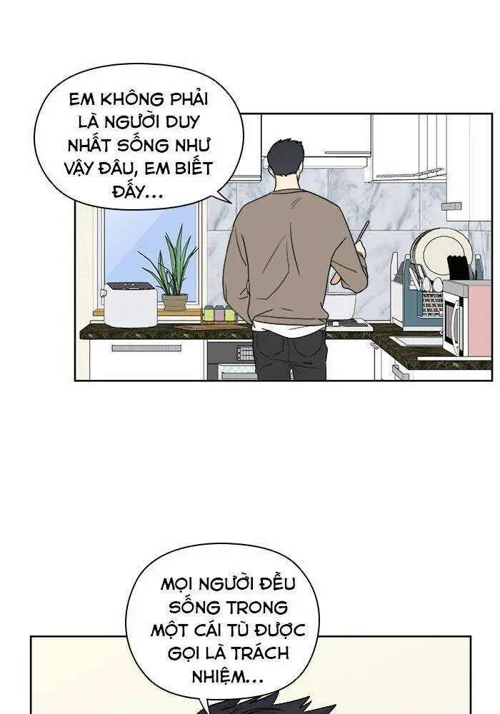 Chapter 17