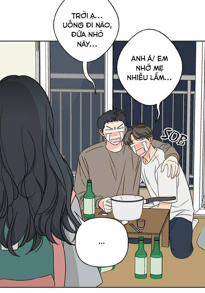 Chapter 17
