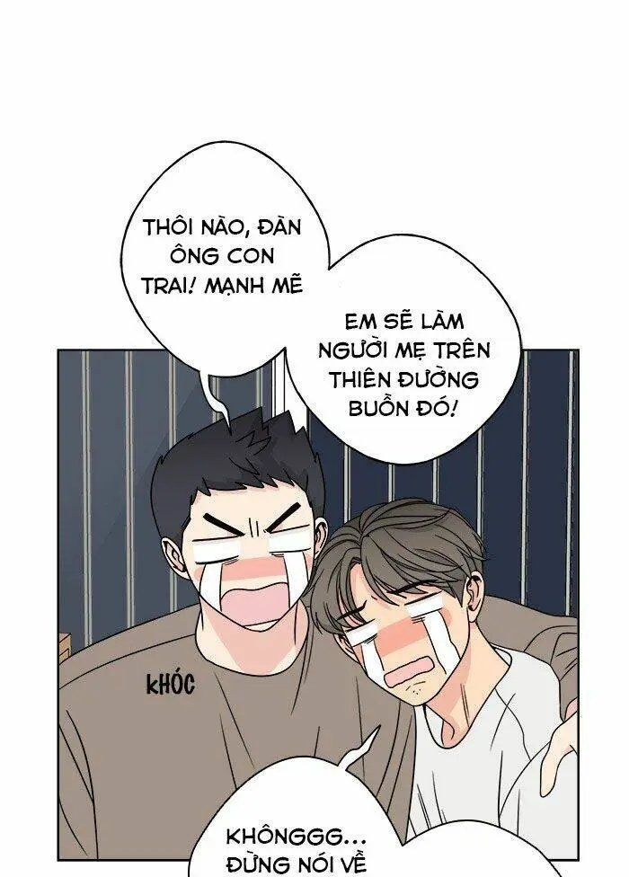 Chapter 17