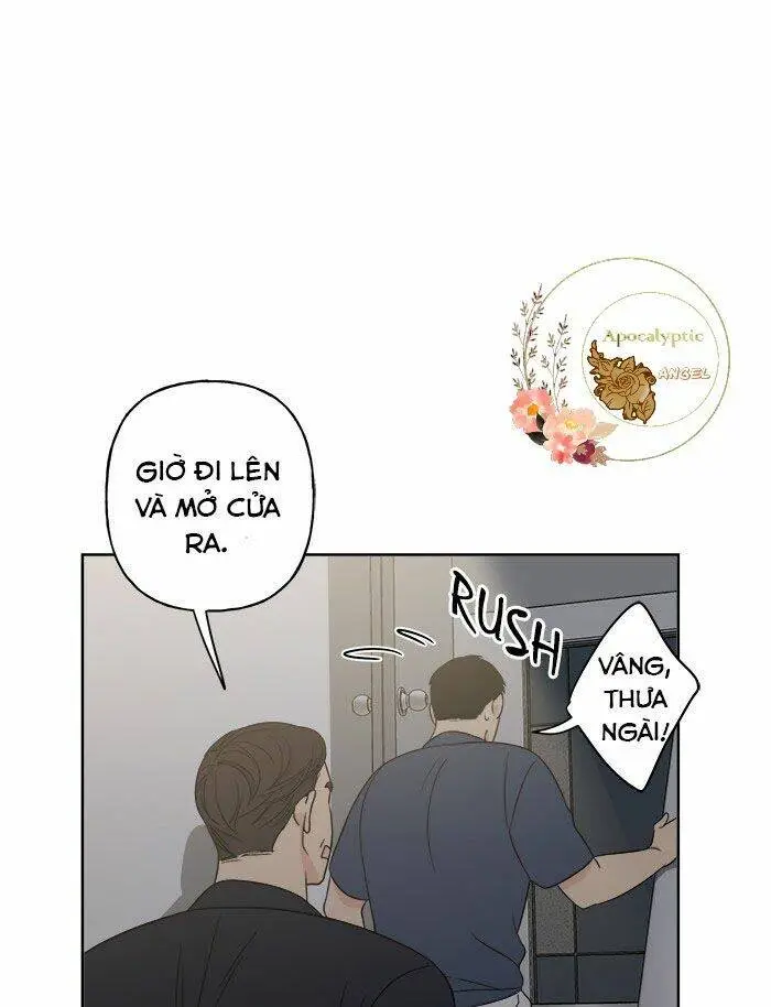 Chapter 17