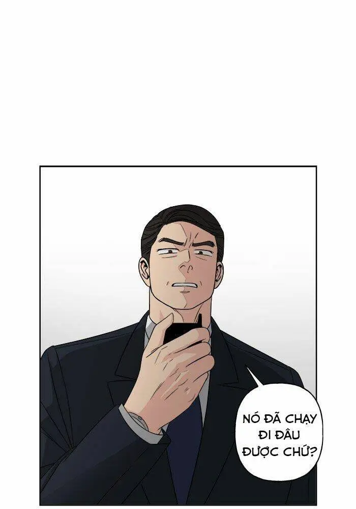 Chapter 17