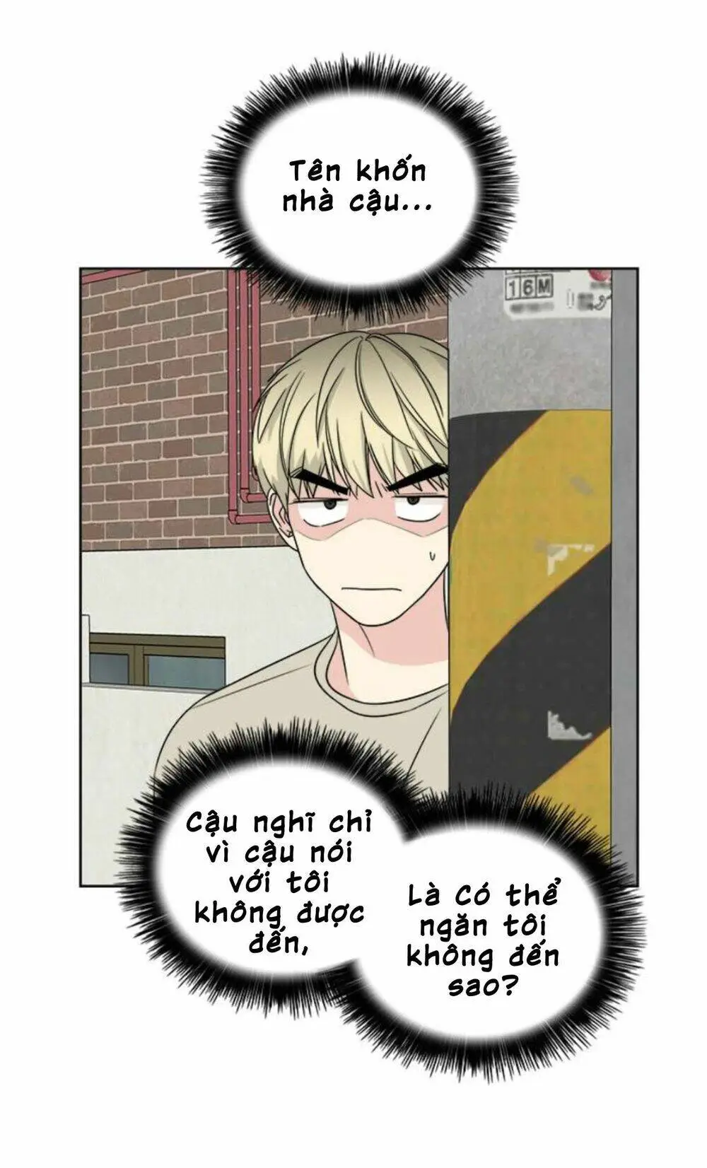 Chapter 15