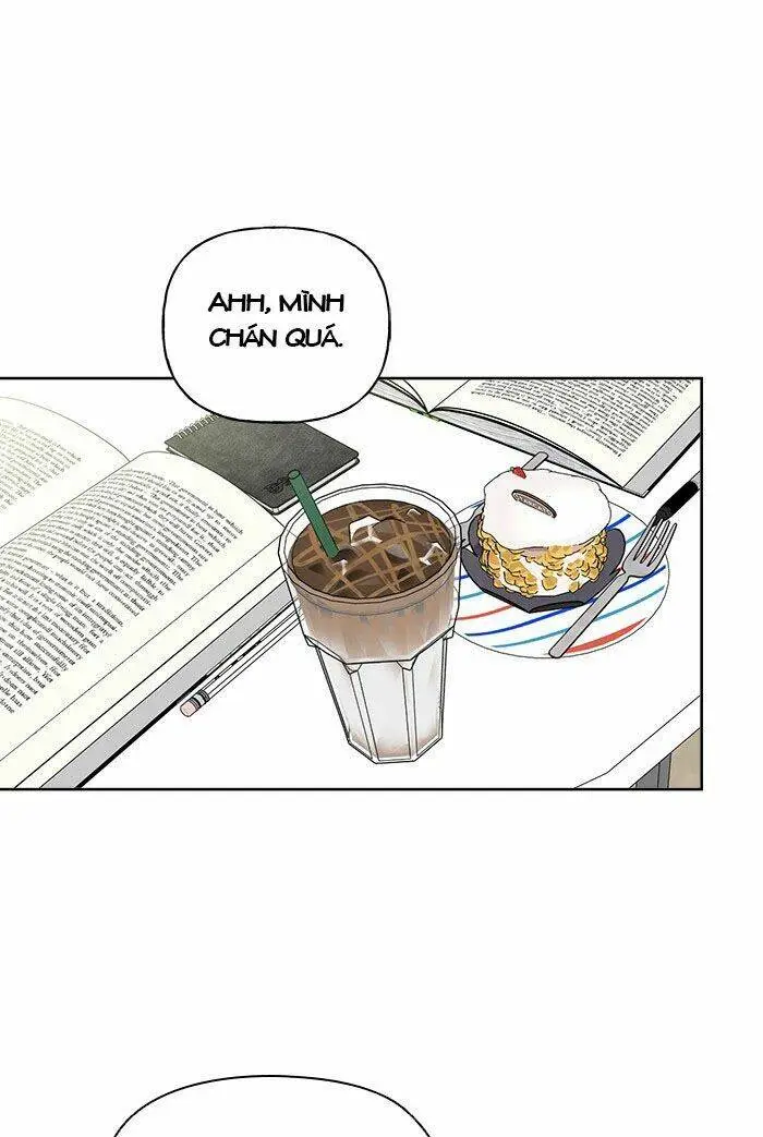 Chapter 13