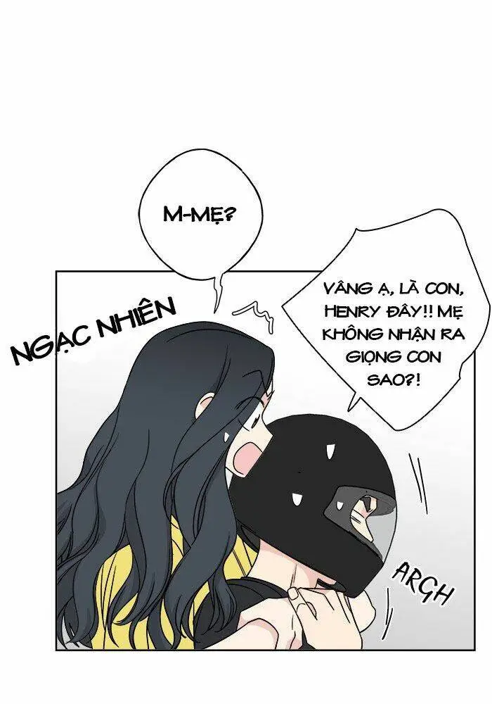 Chapter 13