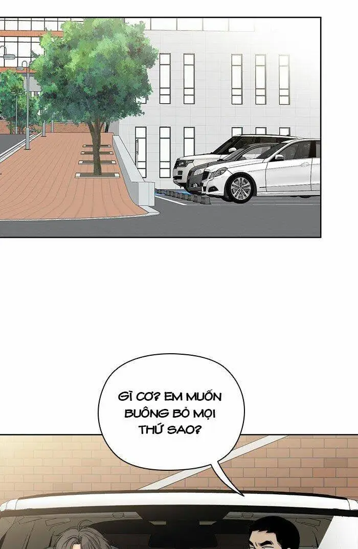 Chapter 13