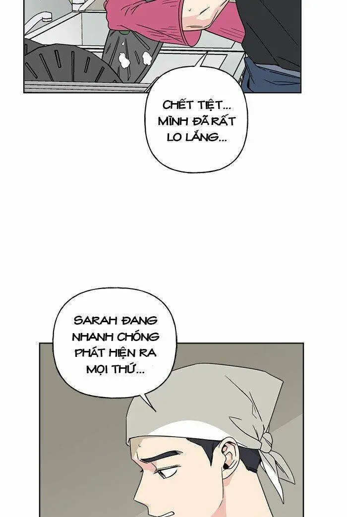 Chapter 13