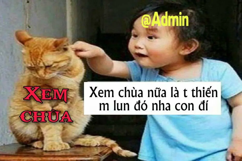 Chapter 10.1