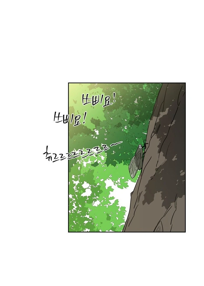 Chapter 5