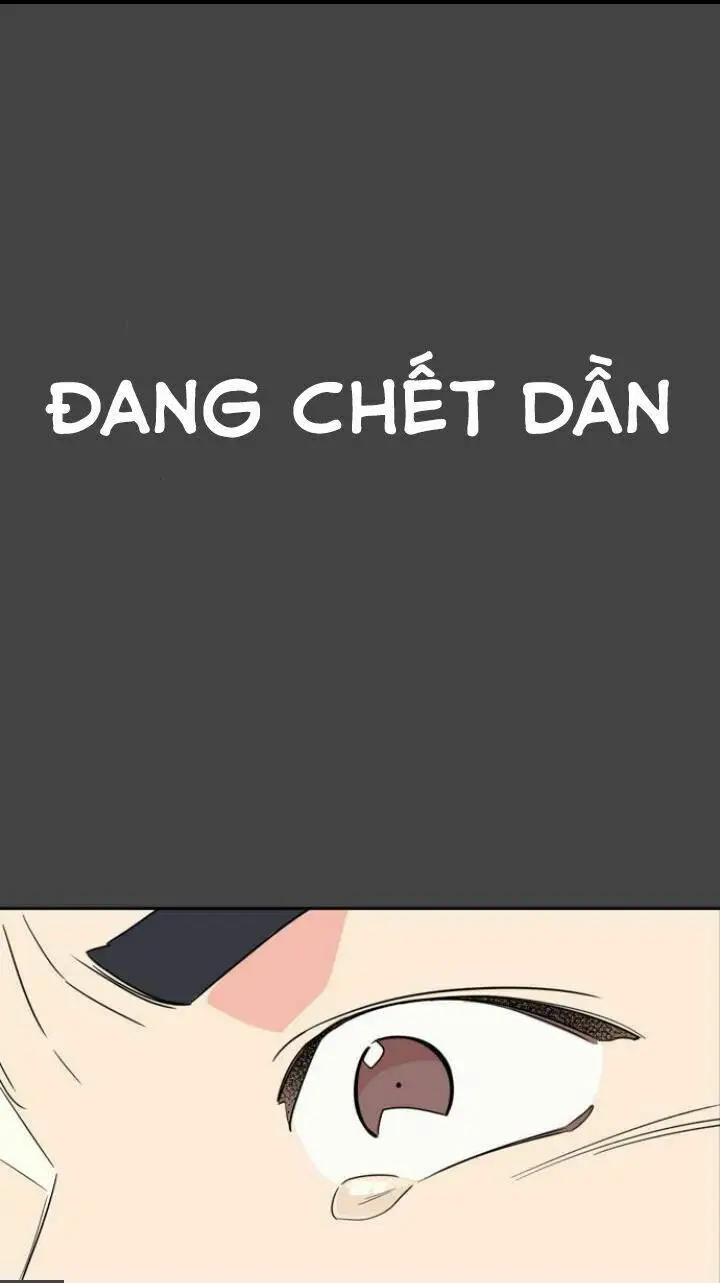 Chapter 1