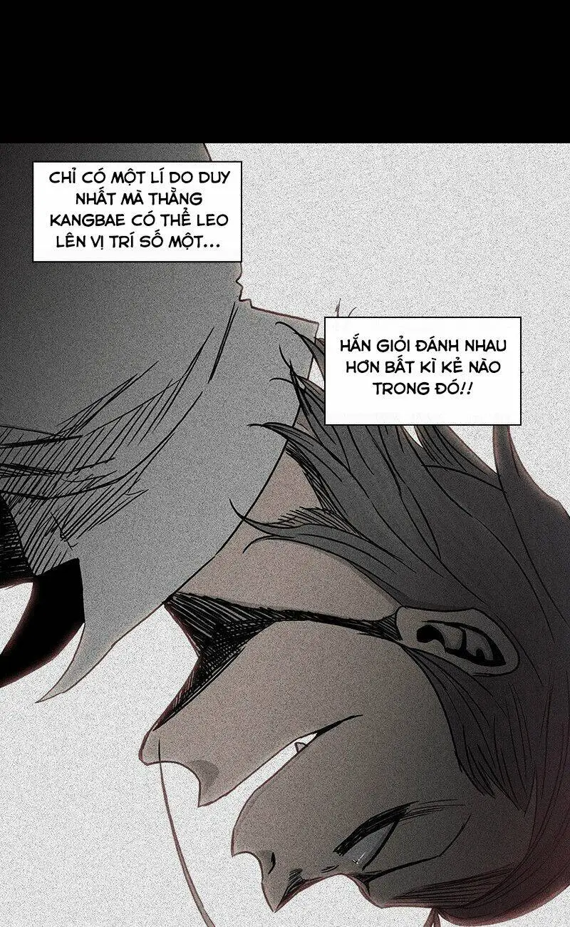 Chapter 55