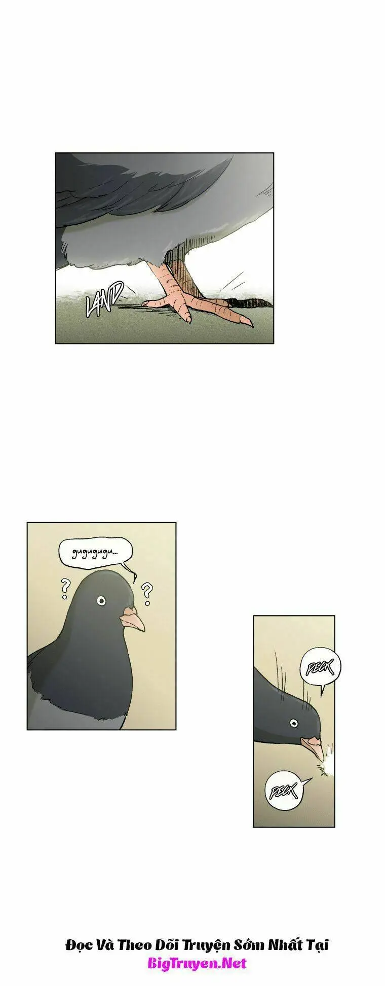 Chapter 30