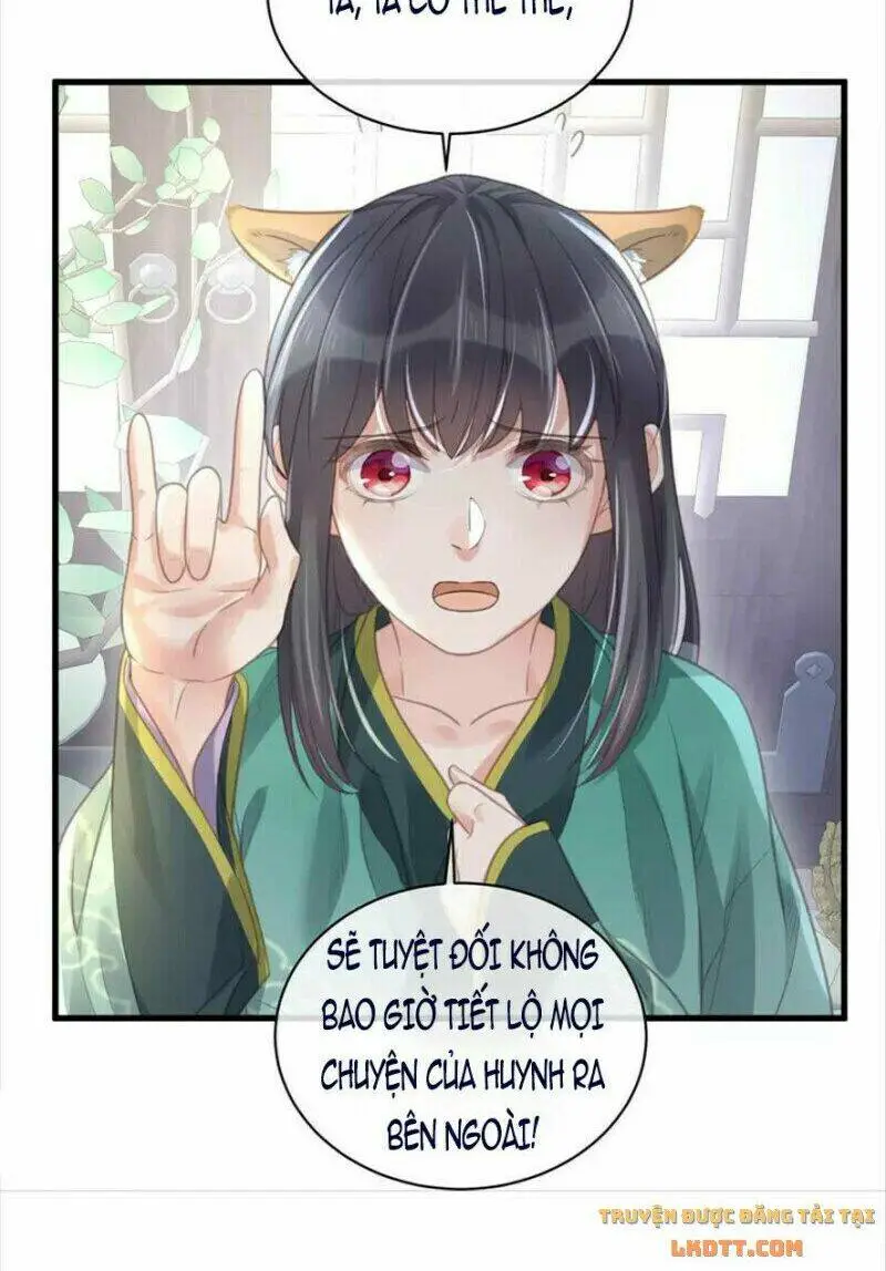 Chapter 55