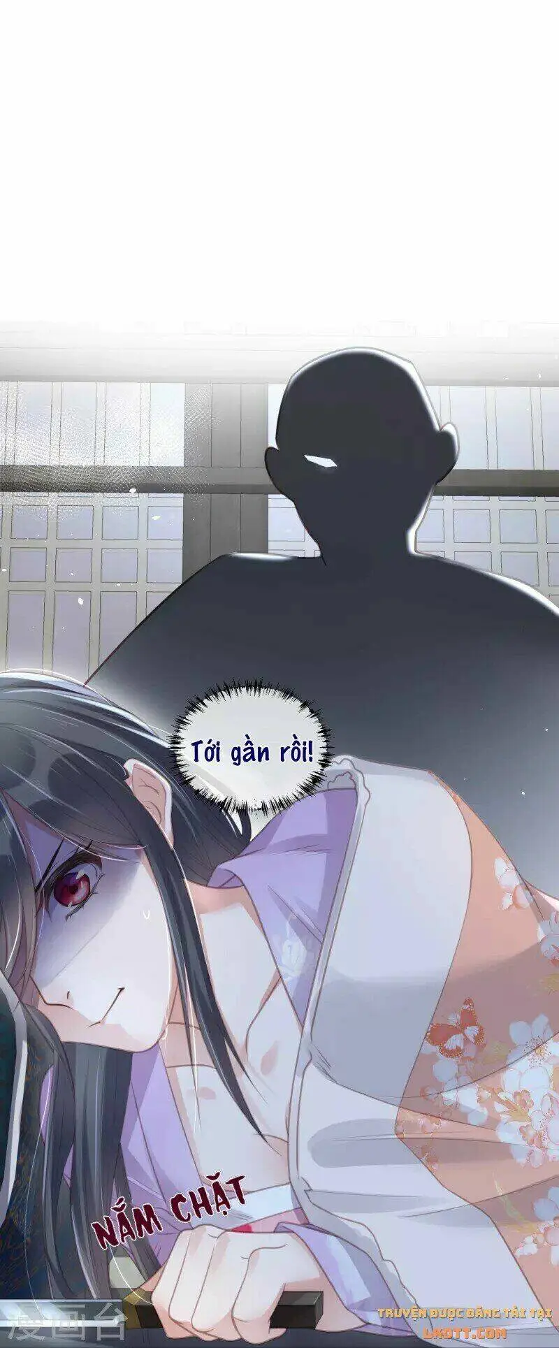 Chapter 53