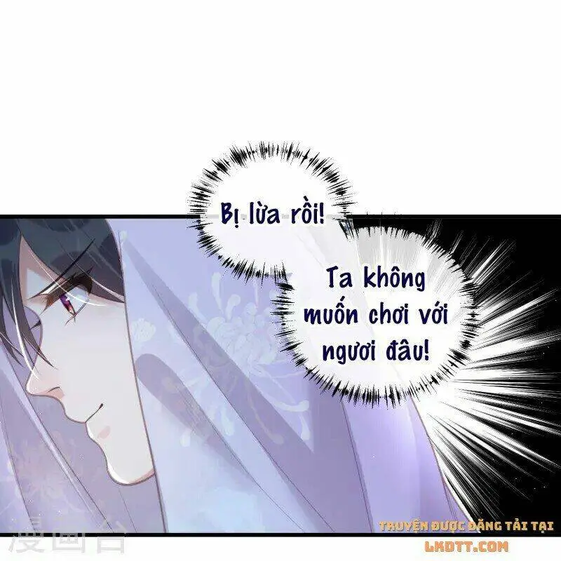 Chapter 53