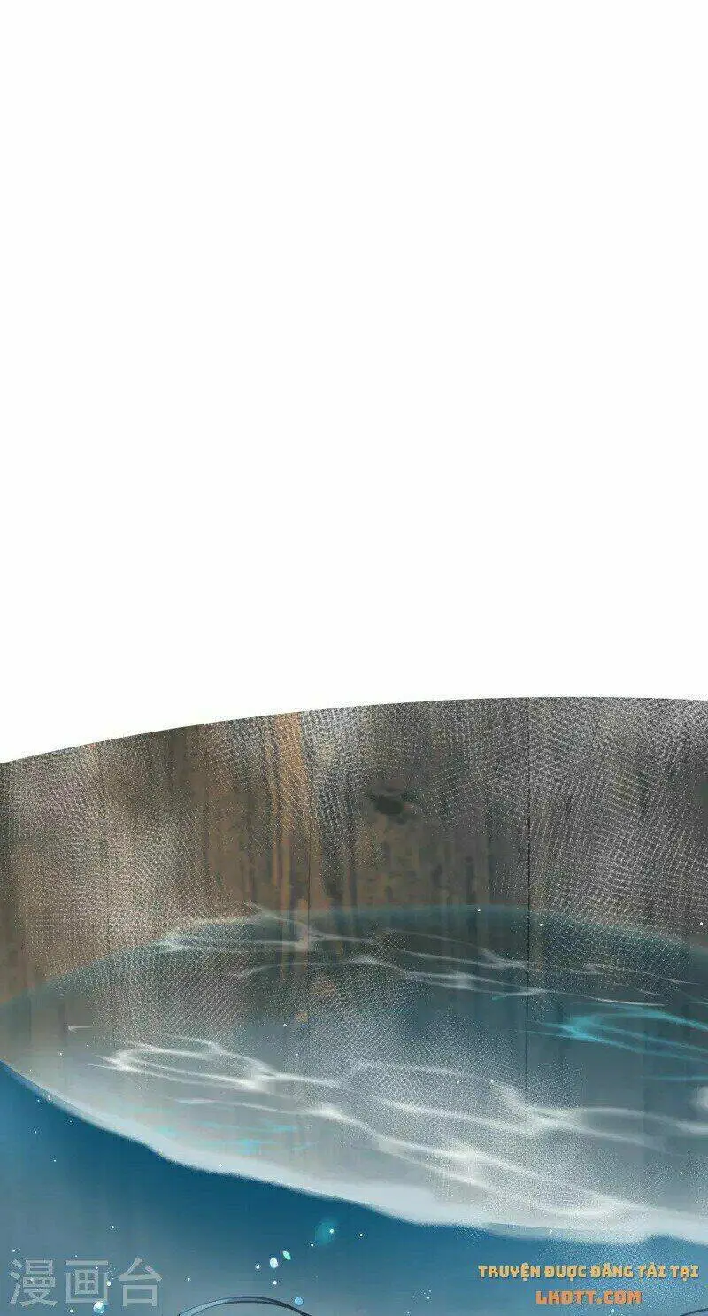 Chapter 53