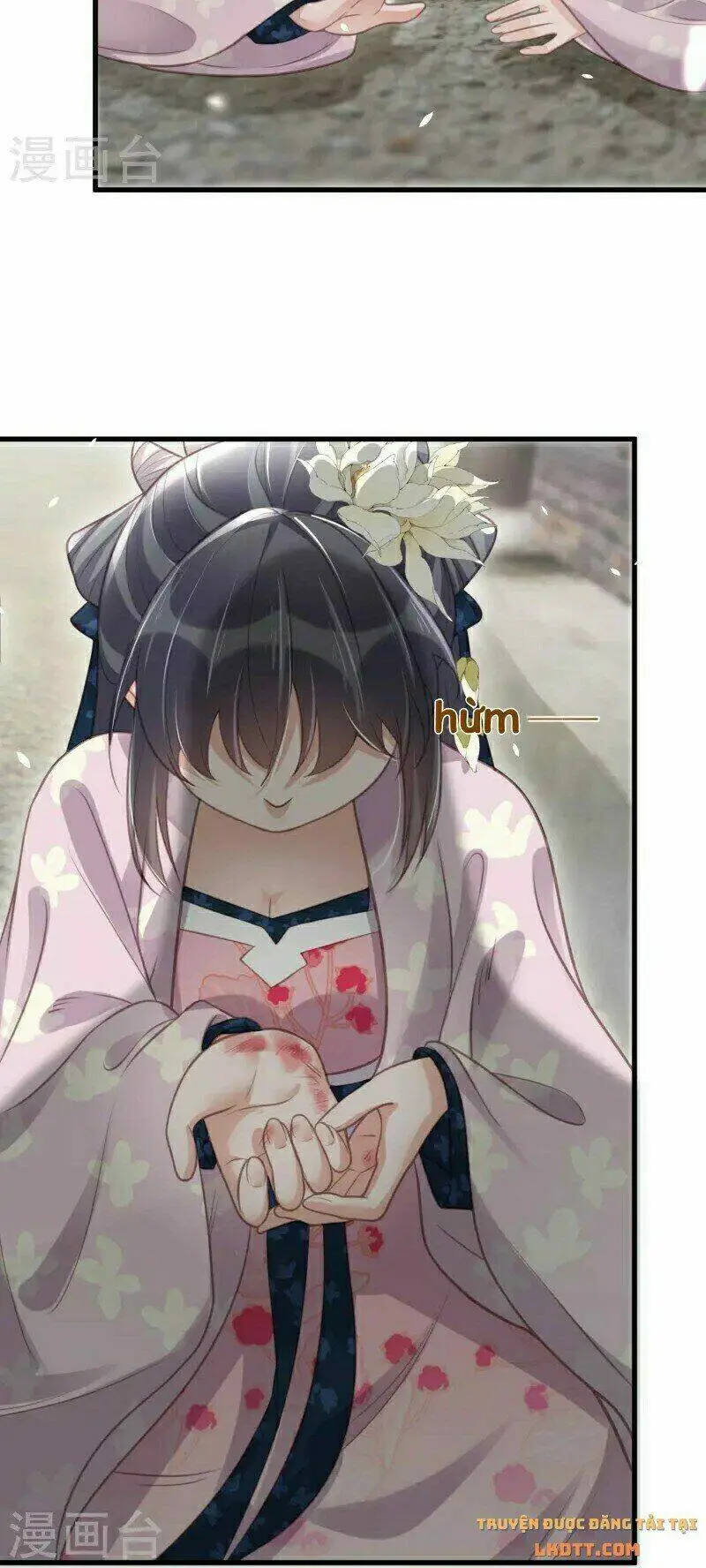 Chapter 52