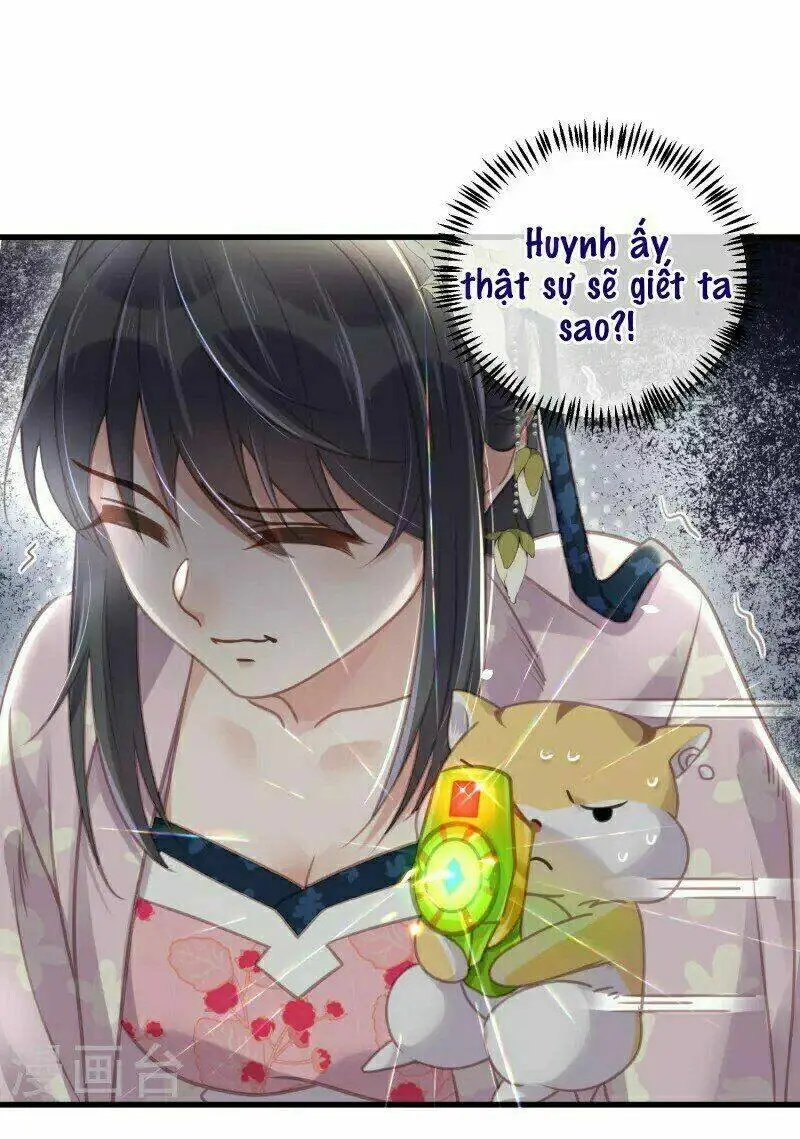 Chapter 52