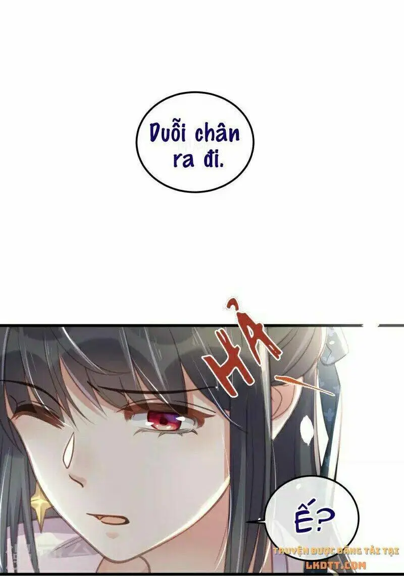 Chapter 52