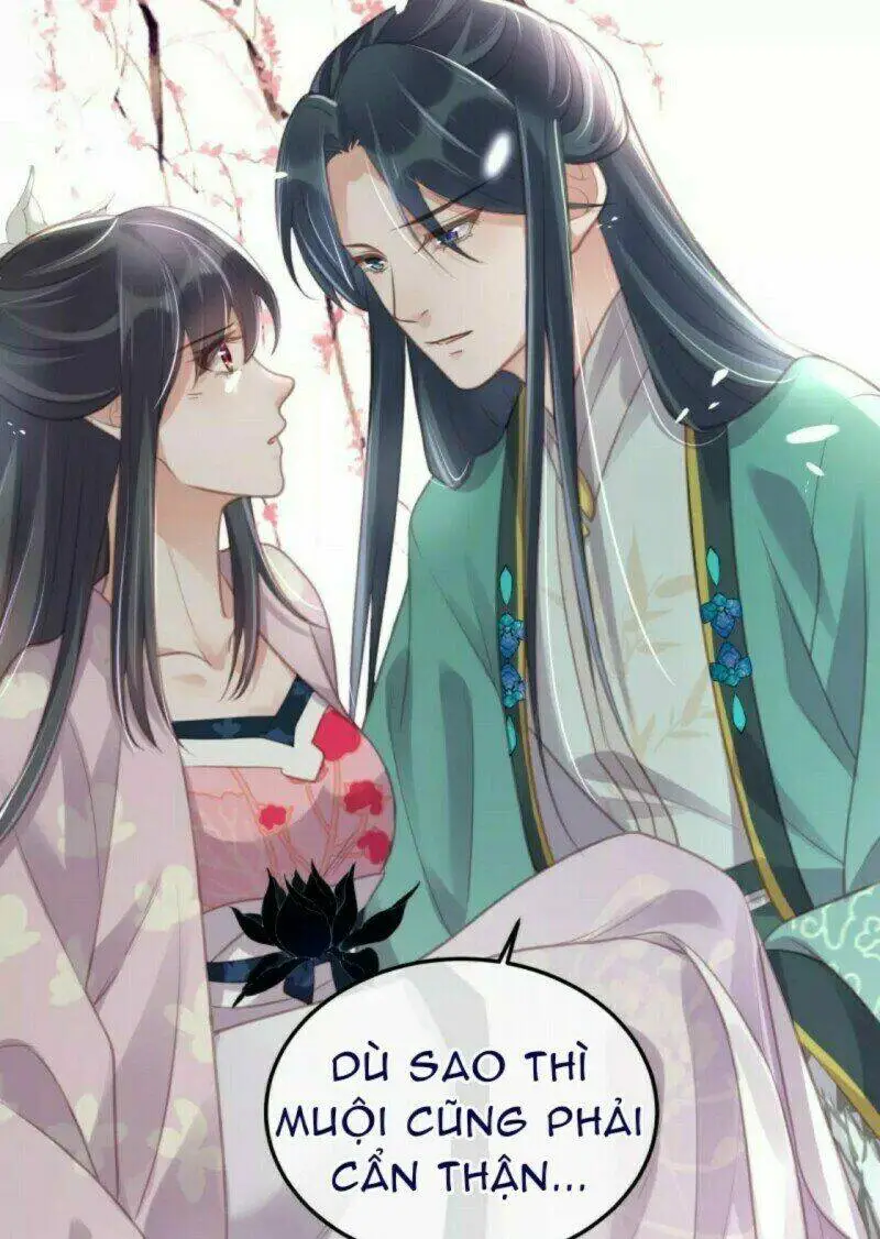 Chapter 52