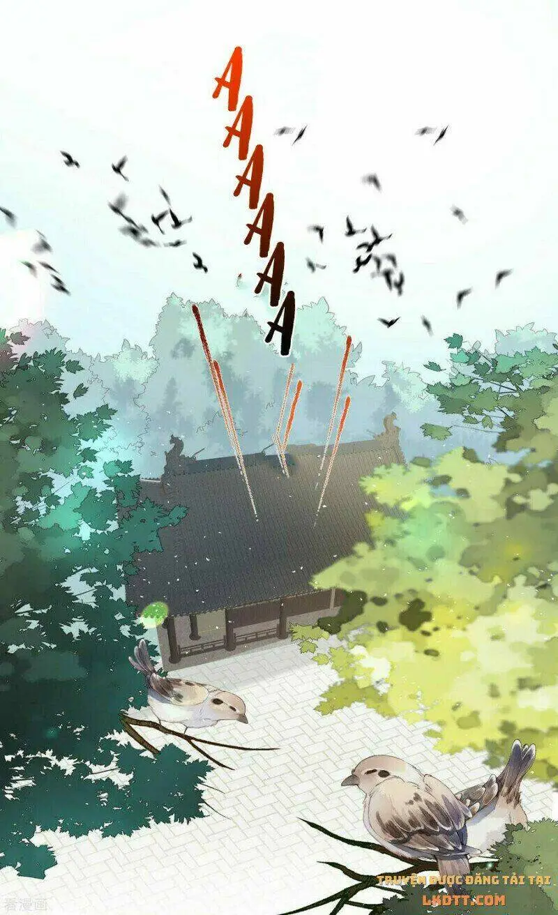 Chapter 51